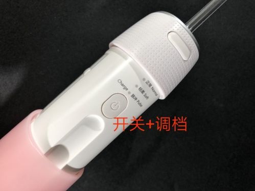 深度測評！潔碧、松下、羅曼、歌嵐四大便攜式沖牙器，哪款更值得買？